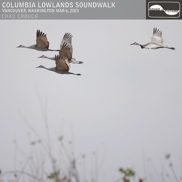 Chad Crouch – Columbia Lowlands Soundwalk (2024) [Official Digital Download 24bit/88,2kHz]