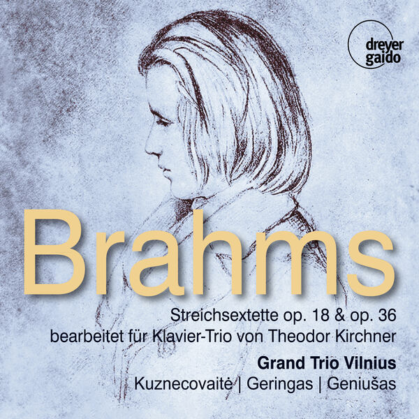 Grand Trio Vilnius - Brahms: String Sextets Nos. 1 & 2 (Arr. for Piano Trio by Theodor Kirchner) (2024) [FLAC 24bit/96kHz] Download