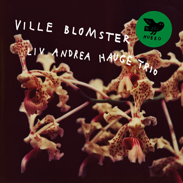 Liv Andrea Hauge Trio – Ville Blomster (2024) [FLAC 24bit/44,1kHz]
