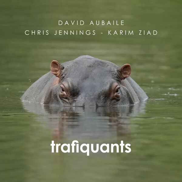 David Aubaile - Trafiquants (2024) [FLAC 24bit/44,1kHz] Download