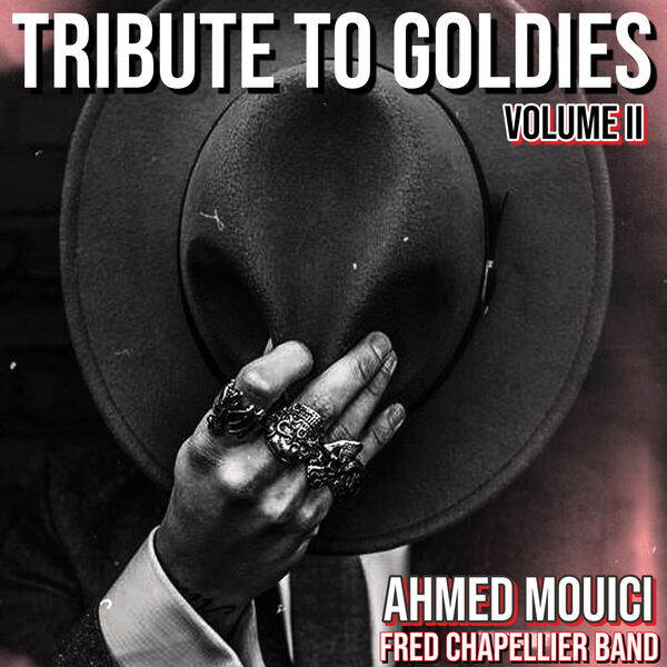 Ahmed Mouici – Tribute To Goldies, Vol II (2024) [FLAC 24bit/48kHz]