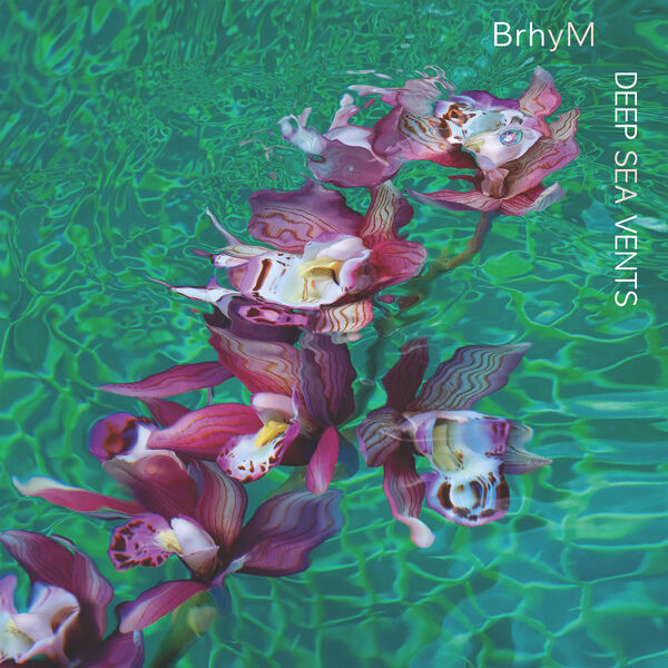 BrhyM - Deep Sea Vents (2024) [FLAC 24bit/48kHz]