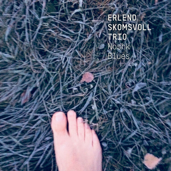 Erlend Skomsvoll Trio - Noshk Blues (2024) [FLAC 24bit/48kHz] Download