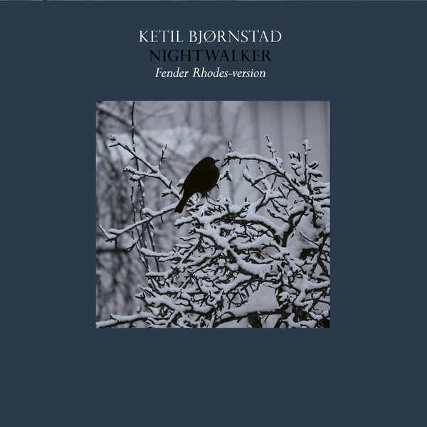 Ketil Bjørnstad – Nightwalker (Fender Rhodes Version) (2023) [Official Digital Download 24bit/48kHz]