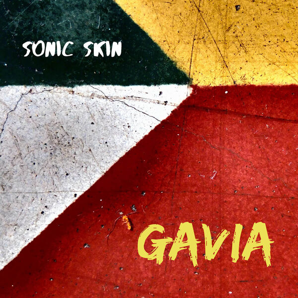 Sonic Skin - Gavia (2024) [FLAC 24bit/48kHz] Download