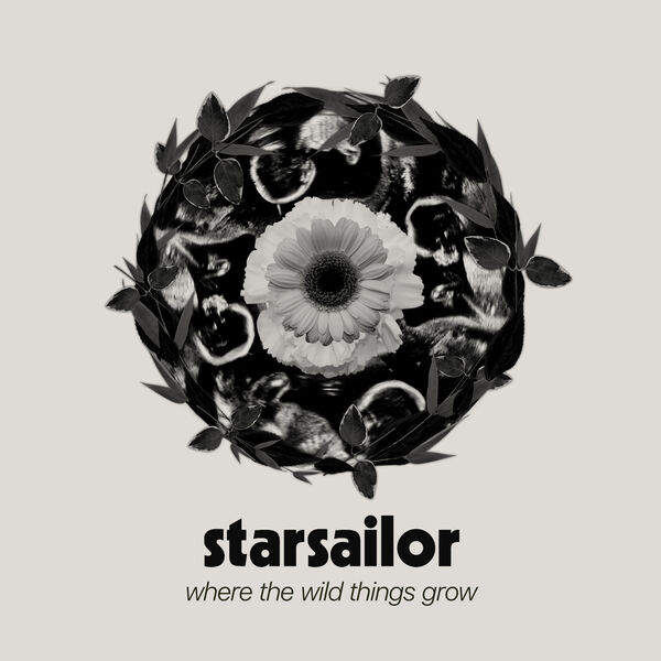 Starsailor - Where The Wild Things Grow (2024) [FLAC 24bit/44,1kHz] Download