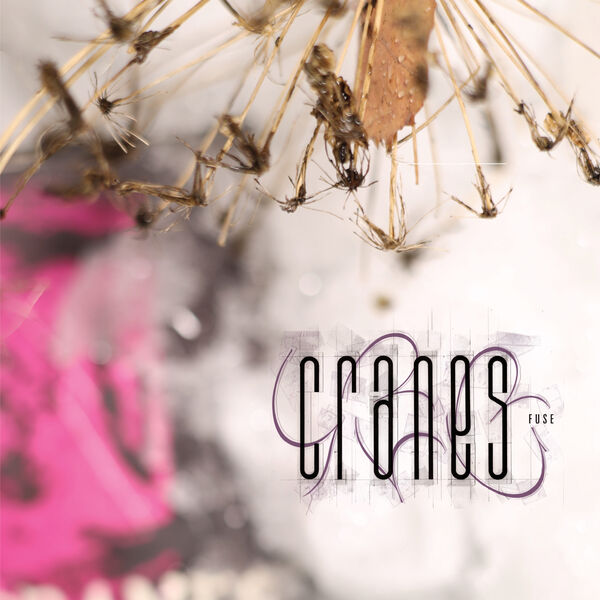 Cranes – Fuse (2024) [FLAC 24bit/48kHz]