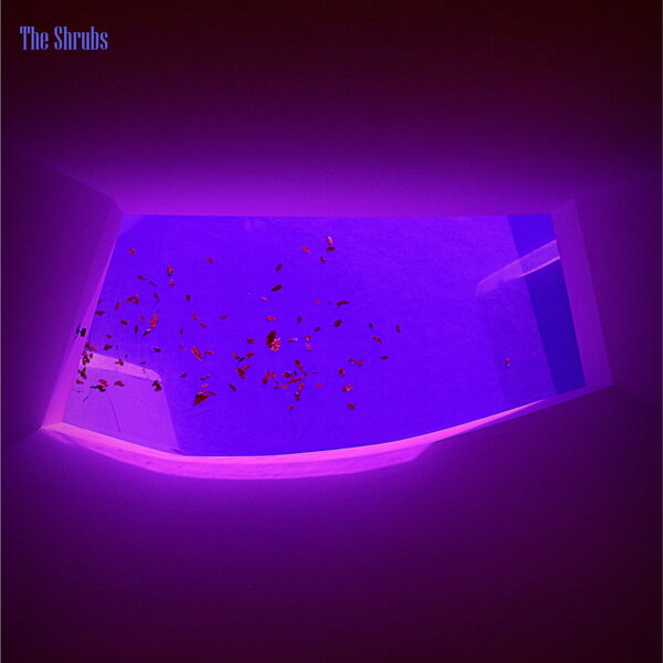 The Shrubs - Echoes of a Dream (2024) [FLAC 24bit/44,1kHz] Download