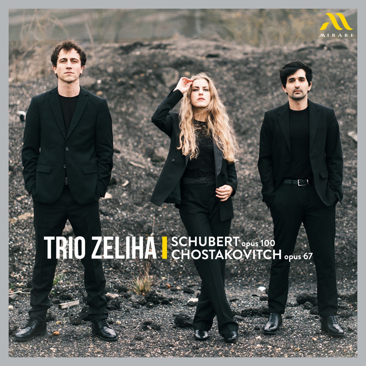Trio Zeliha - Schubert: Op. 100 - Chostakovitch: Op. 67 (2024) [FLAC 24bit/96kHz] Download