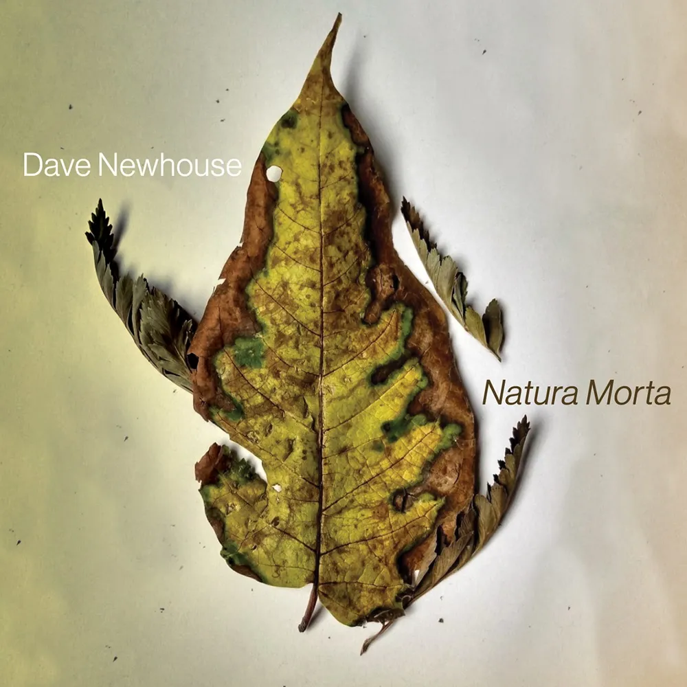 Dave Newhouse - Natura Morta (2024) [FLAC 24bit/44,1kHz] Download