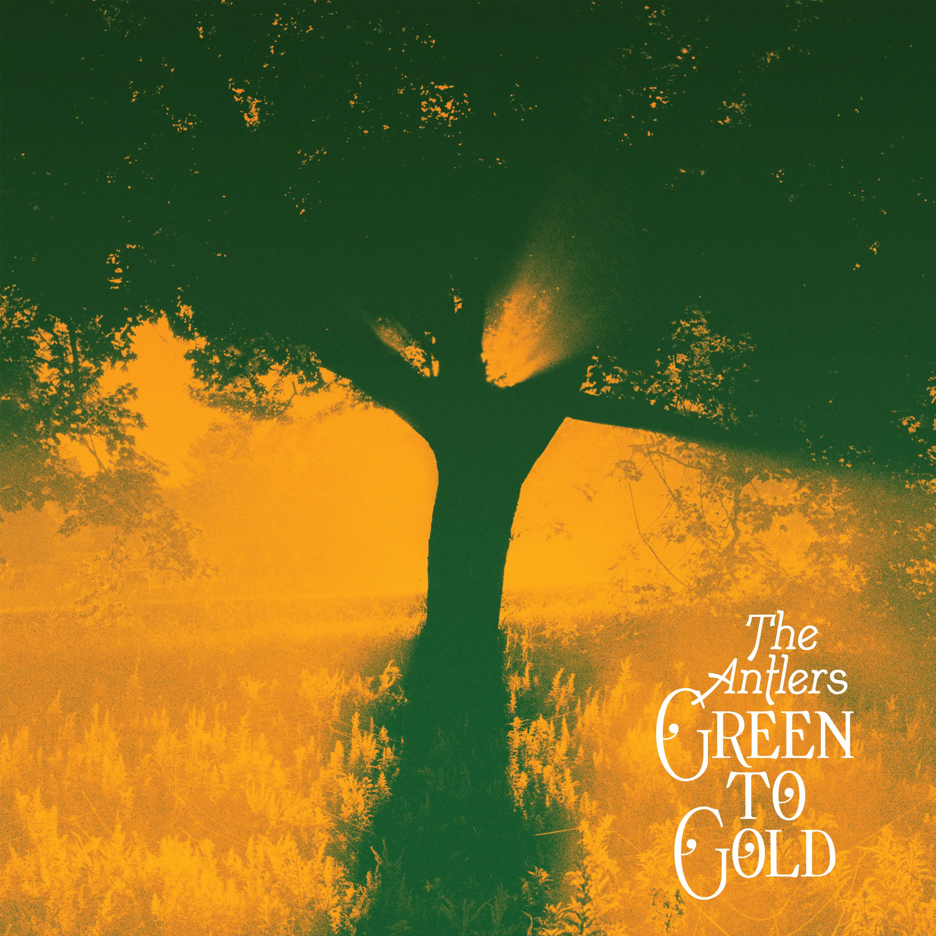 The Antlers – Green to Gold (2021) [Official Digital Download 24bit/88,2kHz]