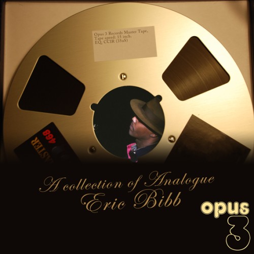 Eric Bibb – A Selection Of Analogue (2013) DSF DSD128 + Hi-Res FLAC