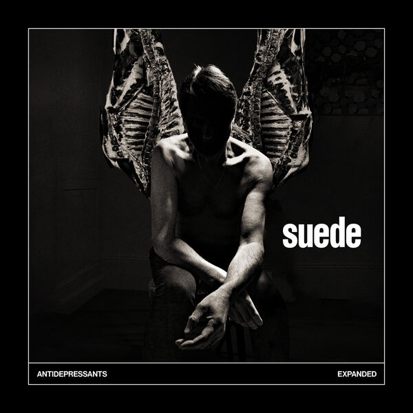 Suede – Antidepressants: Expanded (2026-07-10) FLAC 24bit/48kHz